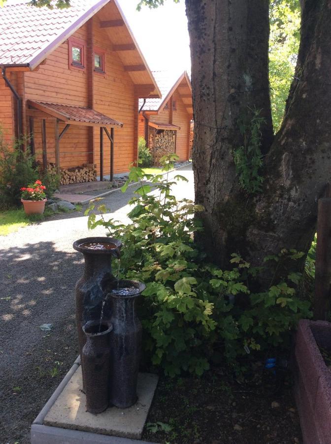 Blockhaus Harzblick4C Villa Braunlage Exterior photo